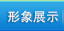 չʾ